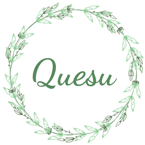 Quesu
